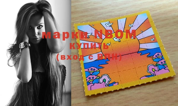 мдпв Абаза