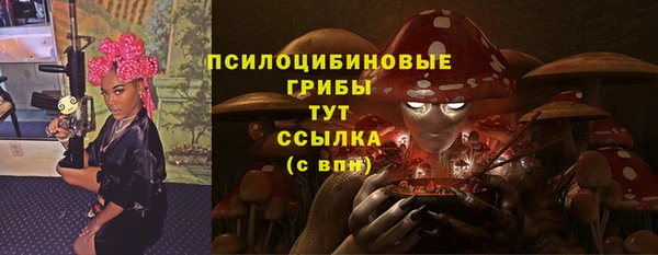 мдпв Абаза
