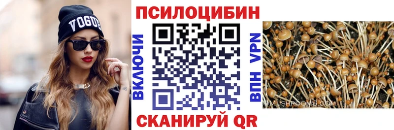 Псилоцибиновые грибы прущие грибы ОМГ ОМГ tor Нижняя Тура